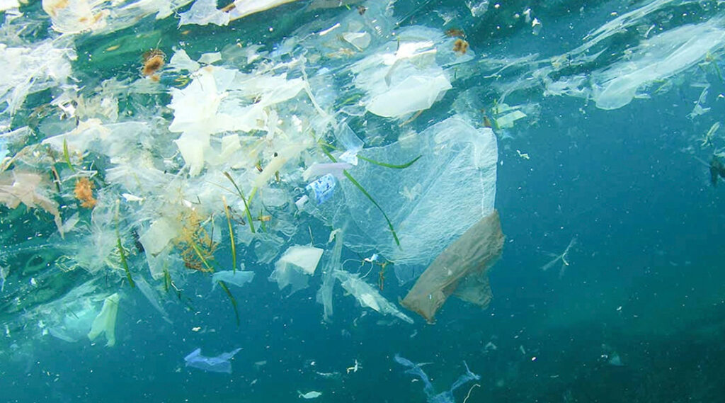 pollution-plastique