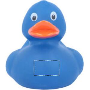 Torse