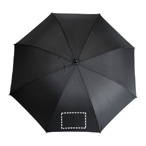 Parapluie pan 1