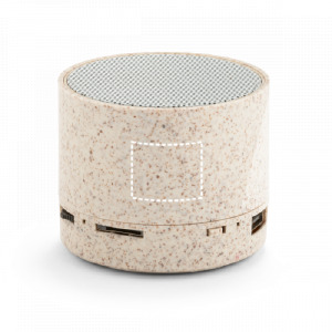 Enceinte latérale