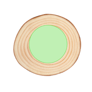 Objet 1