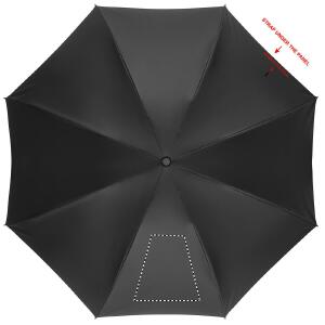 Panneau 1