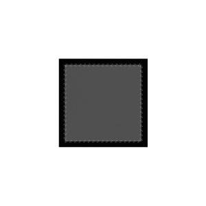 frontal