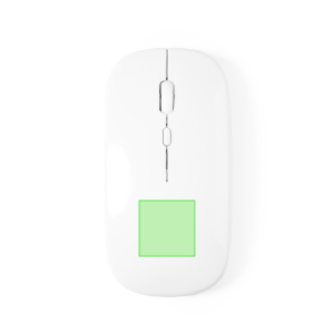 Partie inférieure de la souris