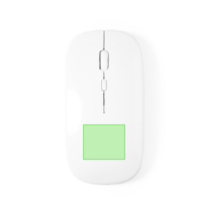 Partie inférieure de la souris