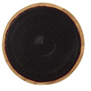 grille de l'enceinte