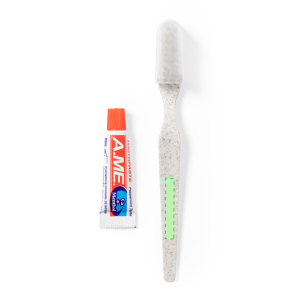 Manche de la brosse