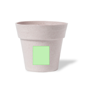 Sur le pot de fleurs