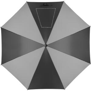 Segment 4