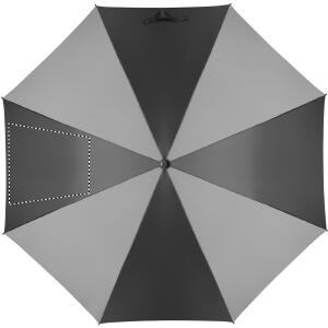 Segment 3