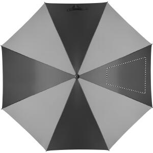 Segment 4