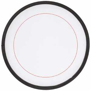 Sur un frisbee