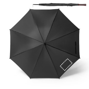 Parapluie pan 2