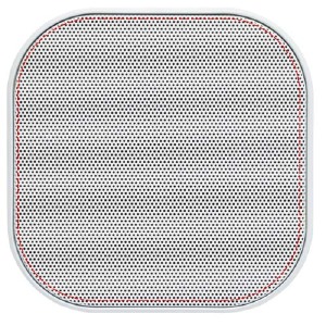 grille de l'enceinte