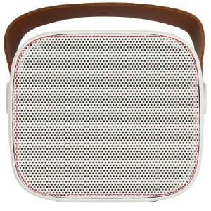 grille de l'enceinte