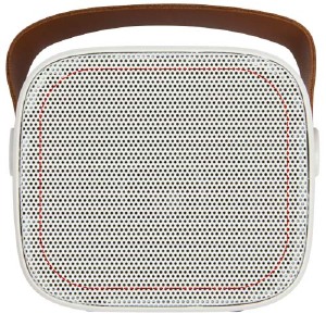 grille de l'enceinte