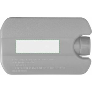 Au dos