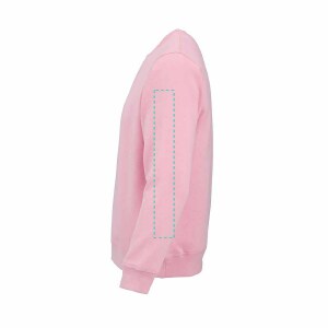 Manche gauche