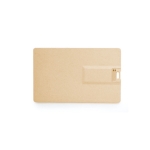 Carte USB écologique avec impression en couleur USB Ecofriendly couleur bois clair