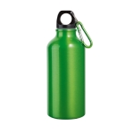 Petite gourde en aluminium aux couleurs vives 400 ml Cruiser couleur vert clair