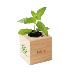 Pot de fleur personnalisé avec graines de menthe en boîte EcoMint couleur bois troisième vue principale