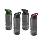 Bouteille Grey 650ml diverses couleurs
