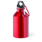 Petite gourde en alu de couleur vive avec mousqueton 330 ml Cruiser couleur rouge