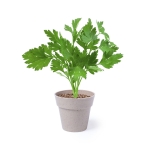 Combinaison de 2 pots de graines de menthe et de persil à offrir couleur beige troisième vue
