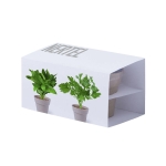 Combinaison de 2 pots de graines de menthe et de persil à offrir couleur beige première vue