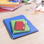 Carnet à spirale à anneaux et stylo avec pages lisses ECOriginal couleur jaune sixième vue