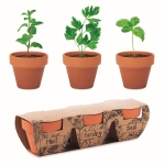 Pots de fleur avec logo et 3 herbes aromatiques Kit Herbes aromatiques couleur marron