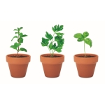 Pots de fleur avec logo et 3 herbes aromatiques Kit Herbes aromatiques couleur marron sixième vue