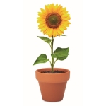 Pot de fleur personnalisé avec graines de tournesol Girasol couleur marron cinquième vue