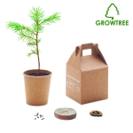 Pots de fleur durables personnalisés avec graines de pin couleur beige