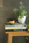 Enceinte avec chargeur compatible avec Android et iPhone Wireless couleur bois vue d'ambiance