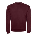 Sweat en polyester et coton doux au toucher 260 g/m² SOL'S Spider