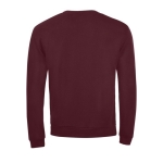 Sweat en polyester et coton doux au toucher 260 g/m² SOL'S Spider vue arrière