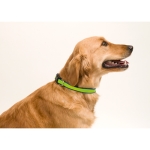 Collier réfléchissant publicitaire pour animaux de compagnie DogFluor couleur bleu