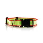 Collier réfléchissant publicitaire pour animaux de compagnie DogFluor couleur rouge cinquième vue
