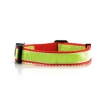 Collier réfléchissant publicitaire pour animaux de compagnie DogFluor couleur rouge sixième vue