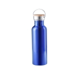 Bouteille en acier de style rétro aux couleurs vives 800 ml Inox Retro couleur bleu première vue
