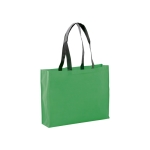 Sac non-tissé 9kg 100 g/m2 Stronger Matt Black Handle couleur vert première vue