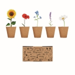 Kit de culture de fleurs avec 5 types différents Kit 5 Flowers Grow couleur beige