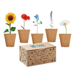 Kit de culture de fleurs avec 5 types différents Kit 5 Flowers Grow vue avec zone d'impression