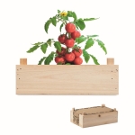 Mini-jardin de tomates dans une caisse en bois Mini-jardin Tomatoes couleur bois