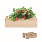 Kit de culture de fraises en caisse de bois Mini-verger Strawberry couleur bois