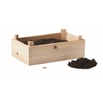 Kit de culture de fraises en caisse de bois Mini-verger Strawberry couleur bois deuxième vue