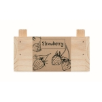 Kit de culture de fraises en caisse de bois Mini-verger Strawberry couleur bois sixième vue