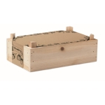 Kit de culture de fraises en caisse de bois Mini-verger Strawberry couleur bois huitième vue