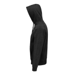 Sweat à capuche unisexe en éco-matériaux 280 g/m² Stellar couleur gris graphite